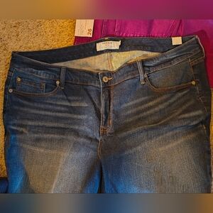 Torrid Dark Blue Jean Shorts